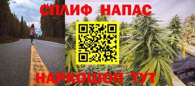 мяу мяу мука Кандалакша