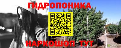 винт Канаш