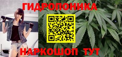 мяу мяу мука Кандалакша